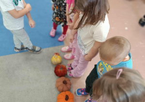 Dzieci ustawione w szeregu układają dynie od najmniejszej do największej.