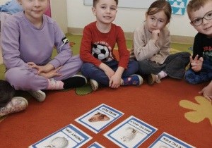 Dzieci siedzą w kole, w środku leżą obrazki przedstawiające zwierzęta polarne podczas zabawy w języku angielskim.
