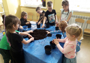 Dzieci napełniają doniczki ziemią.