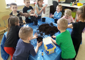 Dzieci napełniają doniczki ziemią.