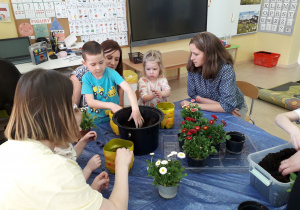 Warsztaty ekologiczne. Sadzenie kwiatków do ekologicznych doniczek.