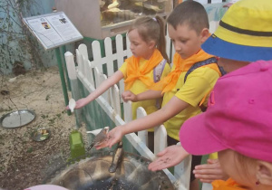 Dzieci w Egzotarium karmią ptaki z ręki