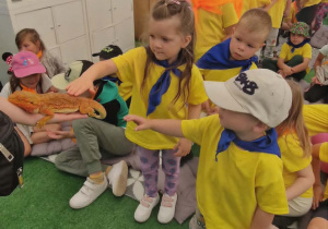 Dziecko dotyka skóry agamy, trzymanej przez opiekuna zwierząt