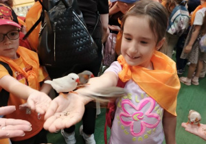 Dziewczynka w Egzotarium karmi ptaszki trzymając je na ręku.